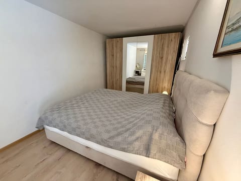 Ruža 4
