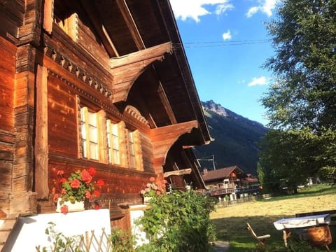 Darioli