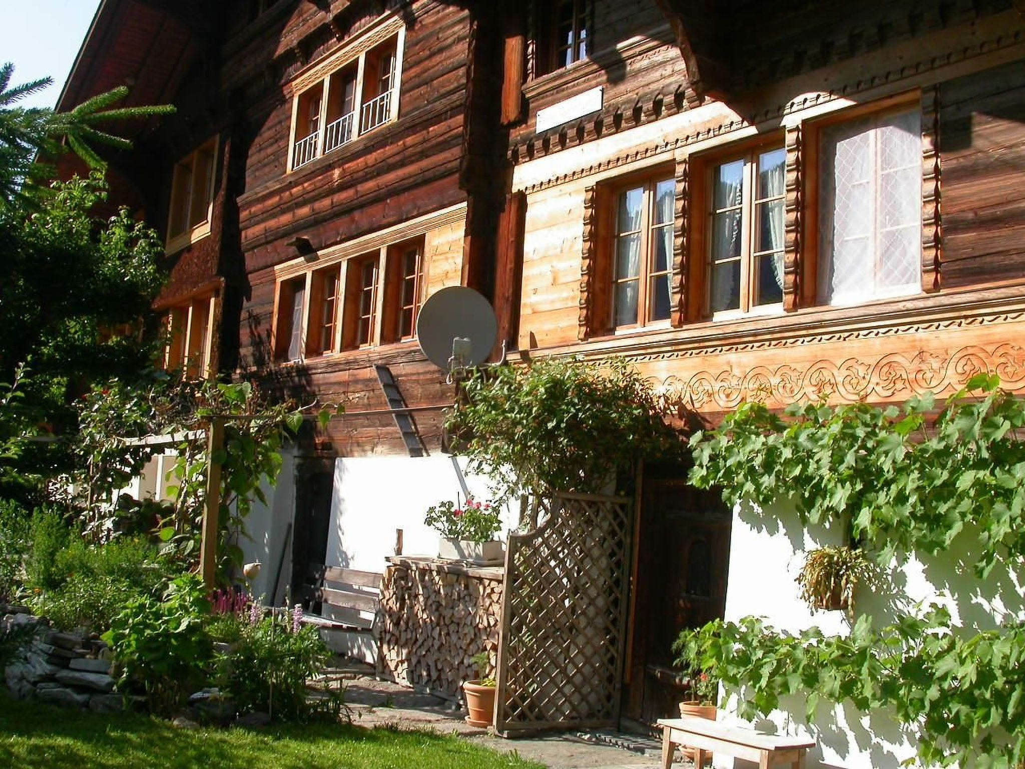 Darioli
