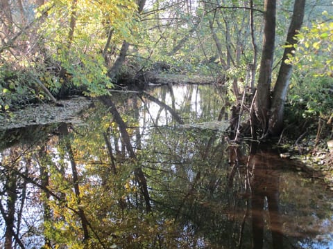 grosse, hundfreundliche Ferienwohnung in der Nähe des Flusses