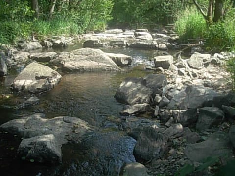 grosse, hundfreundliche Ferienwohnung in der Nähe des Flusses