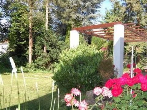 Elisa