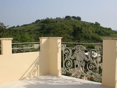 Terra Mirna