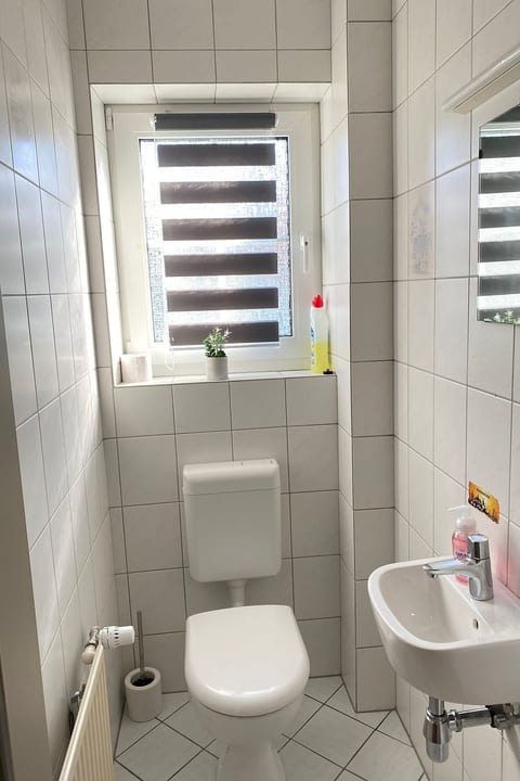 Möwengruß