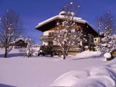 Gsenger Natur in Abtenau