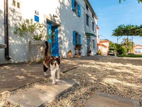 Haus Gaia