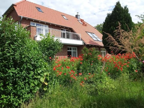 Schwalbennest