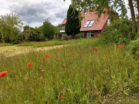 Schwalbennest