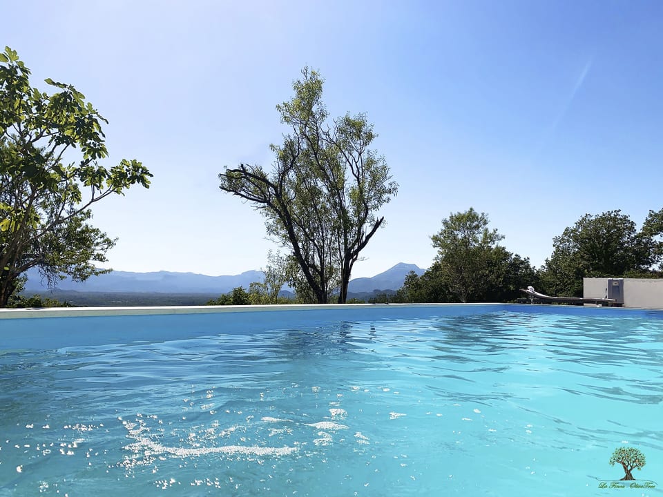 La Finca OliveTree - Katuni