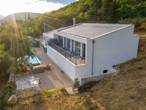 La Finca OliveTree