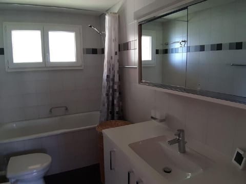 Chalet Rosenthaler