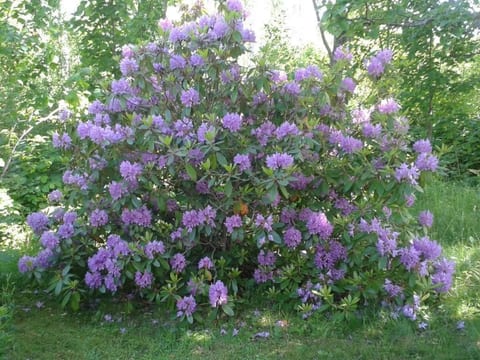 Gemütliches Haus in Arvika mit Garten und Grill