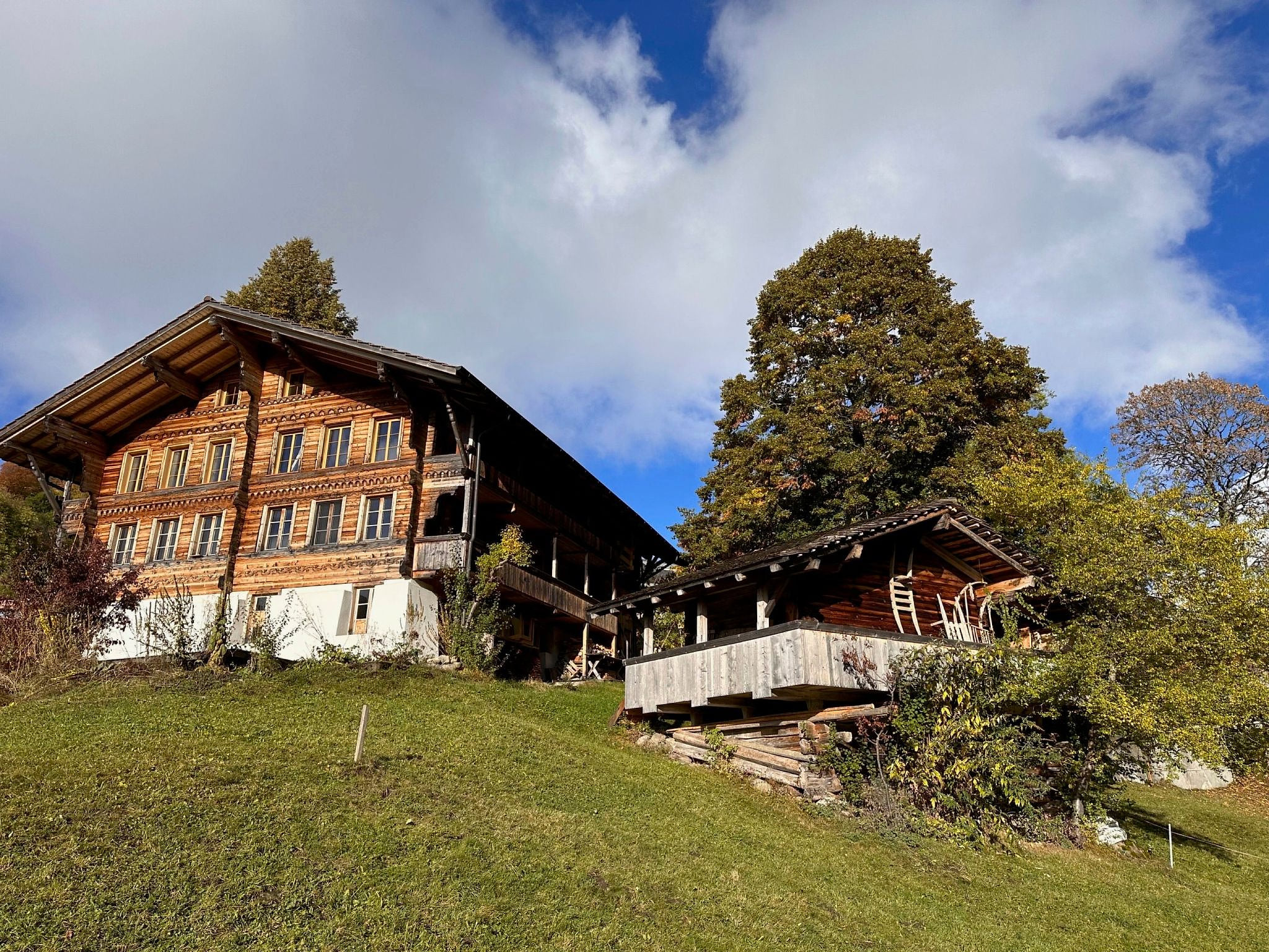 Wohnung Niesenblick