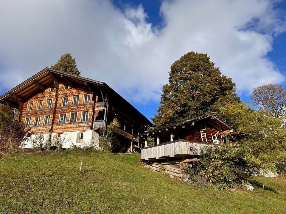 Appartement Niesenblick - Habkern