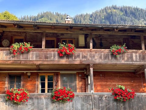 Wohnung Niesenblick