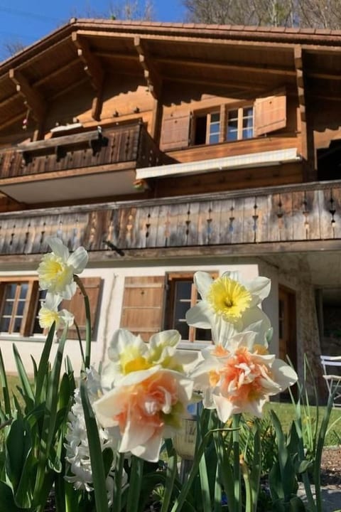 Sonnig und gemütlich