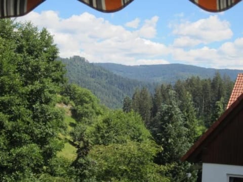 Charmante Wohnung in Bermersbach