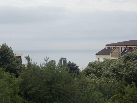 mit Blick auf das Wasser