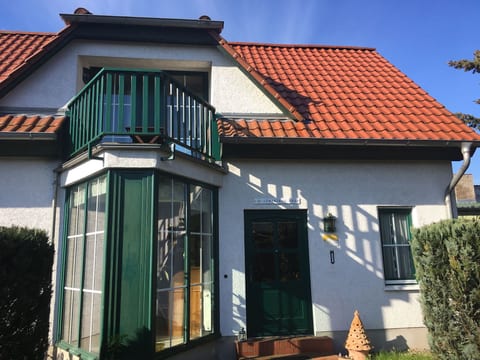 Löwenzahn mit Holu