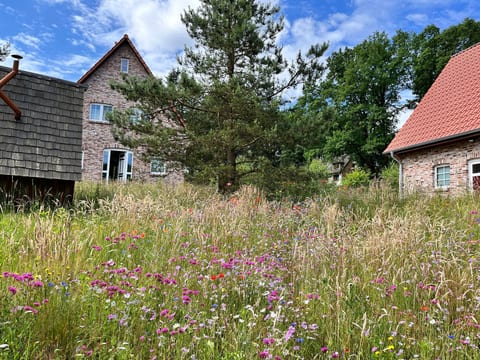 Haus Hartriegel im Bispinger Heidezauber