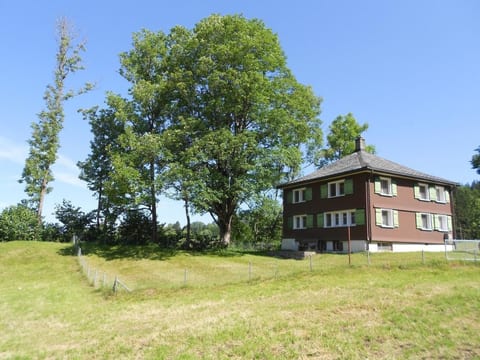 Alpenrösli in Nesslau