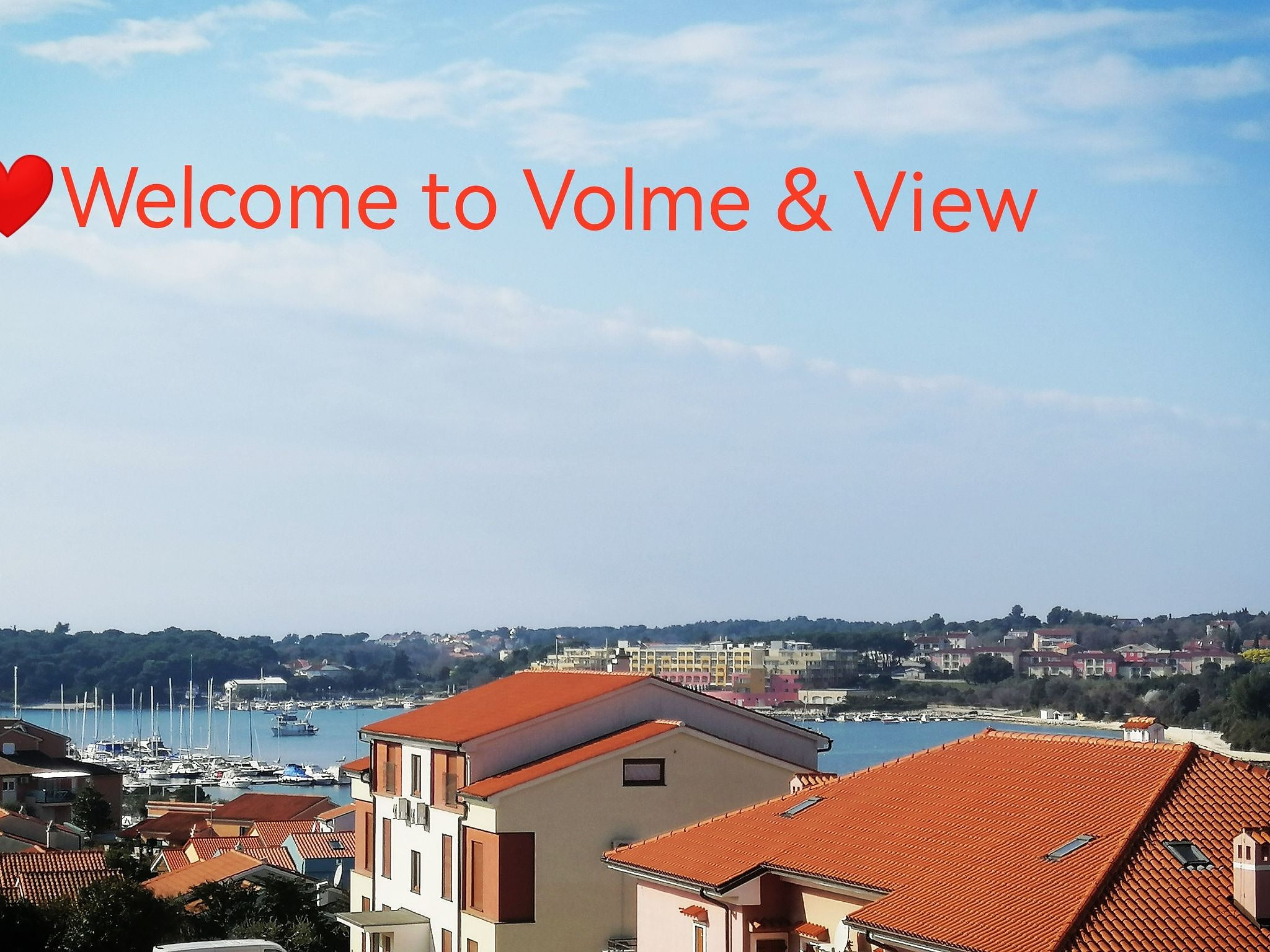 Volme View