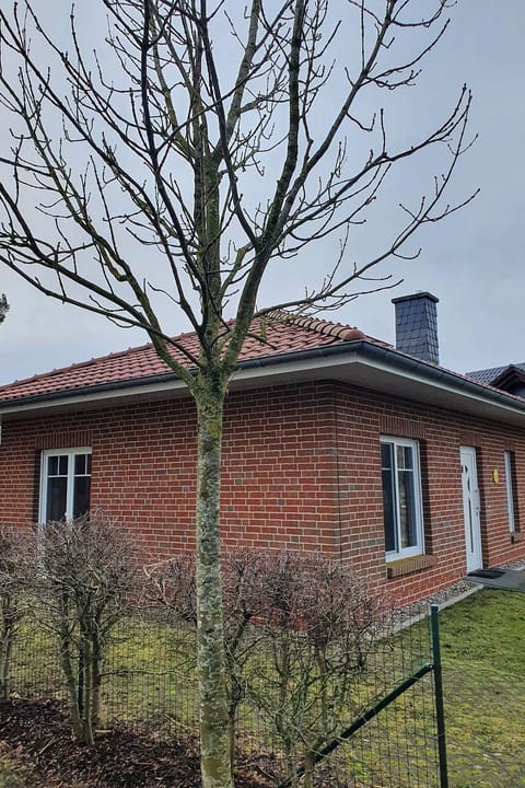 Sonnenschein