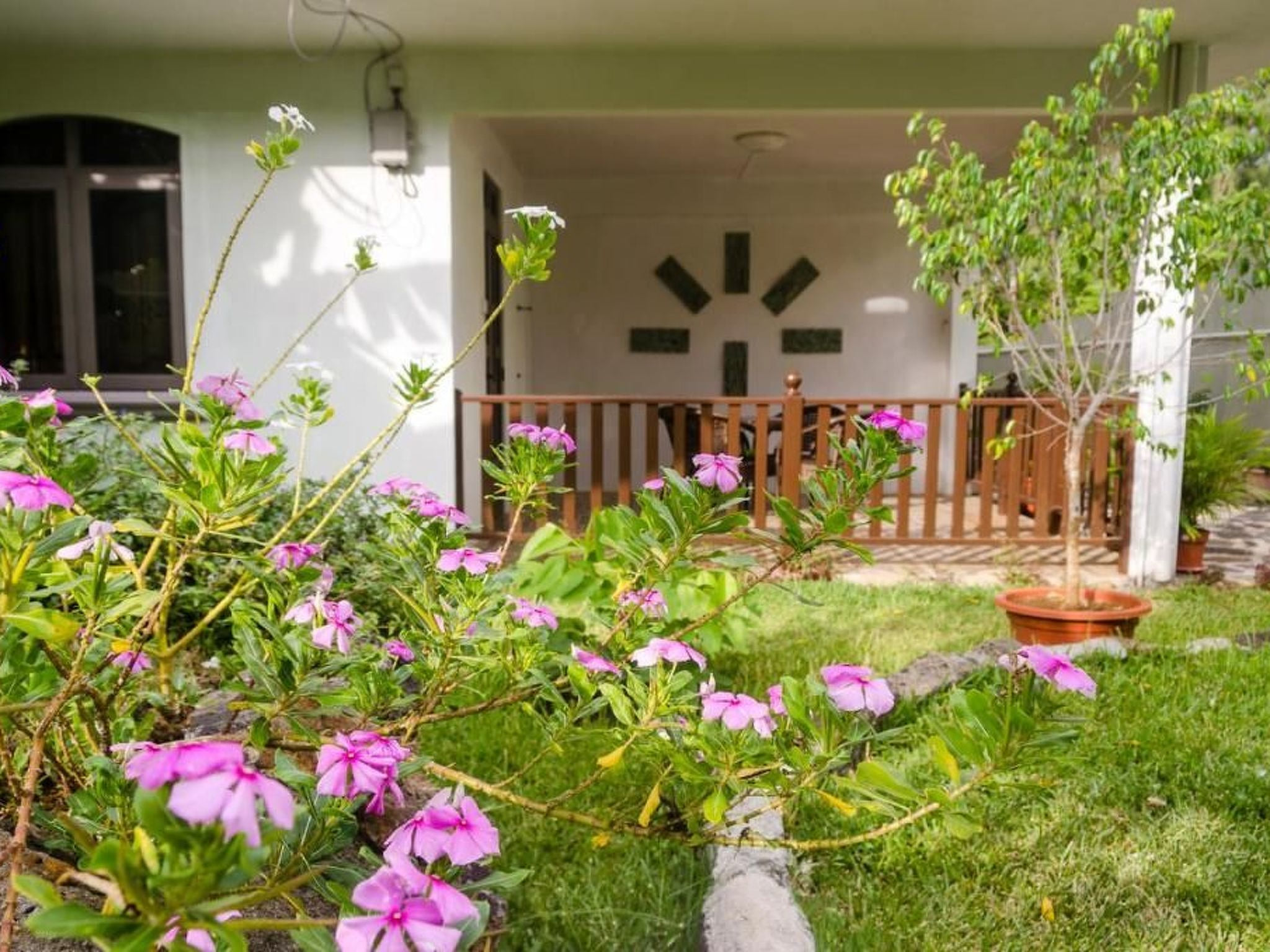 Appartement 2 mit Gartenblick