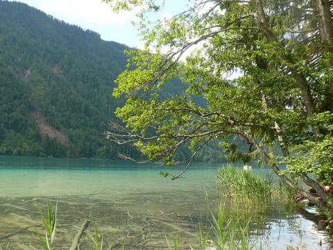 Silbertannenhütte