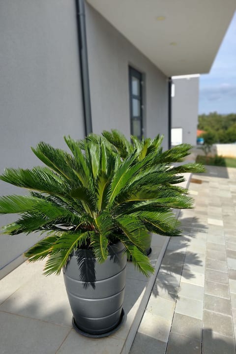 Duplex Meerblick