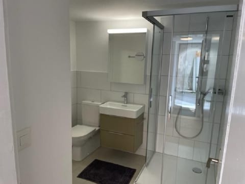1.5 Zr. Einliegerwohnung