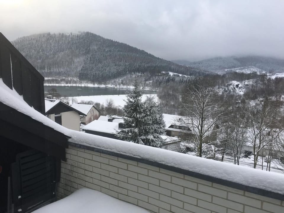 Vue sur les montagnes et le lac au Hillebachsee - Winterberg