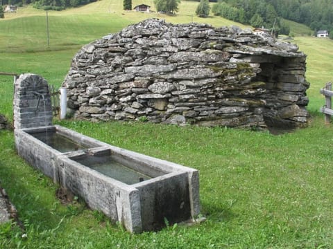 Casa Selva