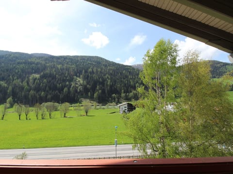 RoZa`s NEST