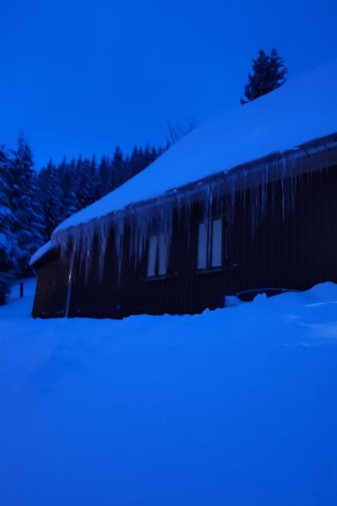 Tolles Ferienhaus in Klingenthal mit Großem Garten
