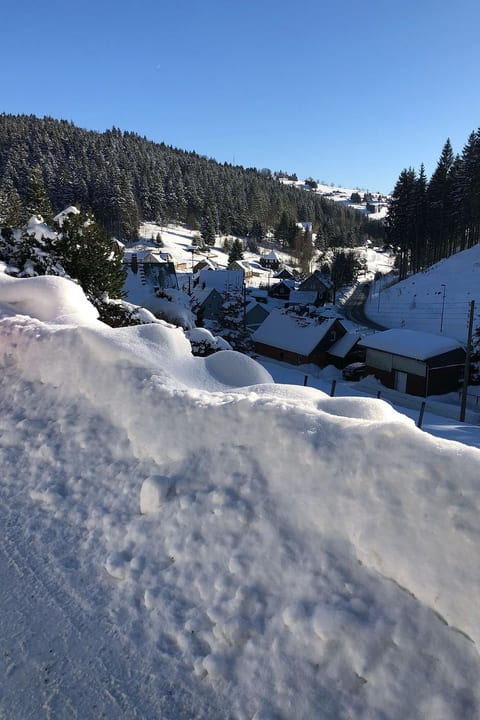 Tolles Ferienhaus in Klingenthal mit Großem Garten