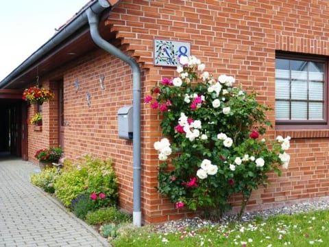 Schwalbenring