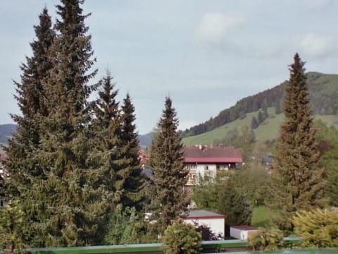 Fewo Schlossstr.