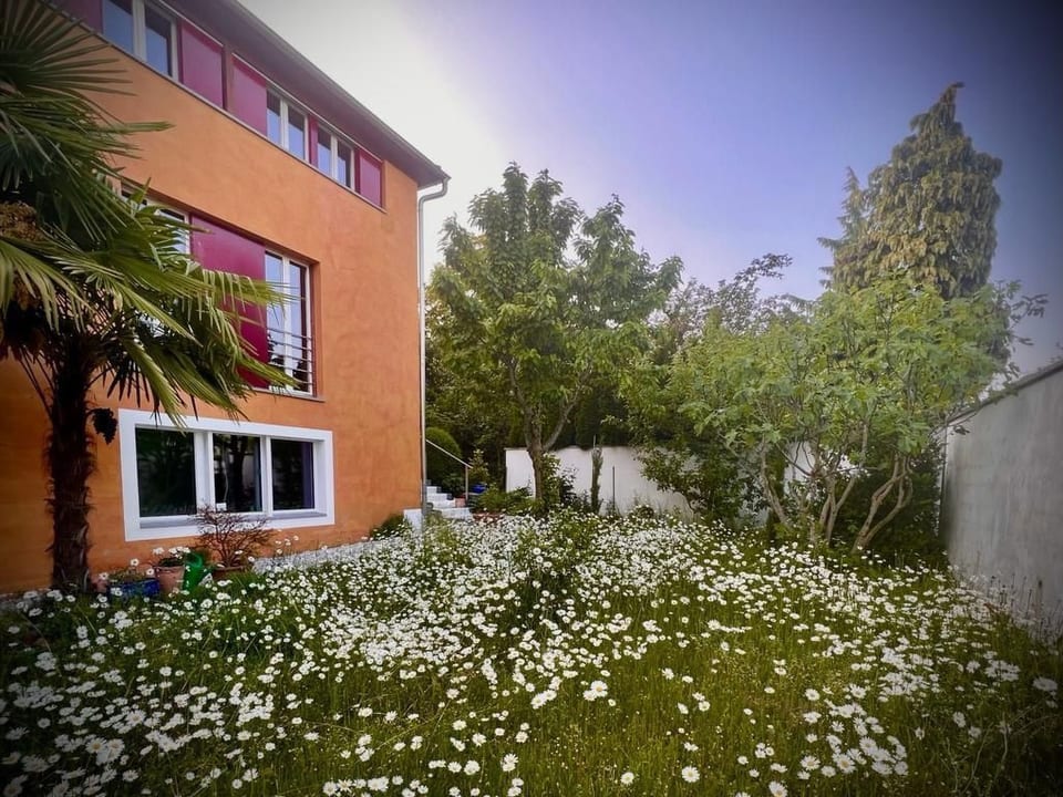1,5 habitaciones apartamento de vacaciones - Meggen