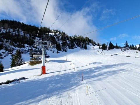 Ski- und Gruppenhaus