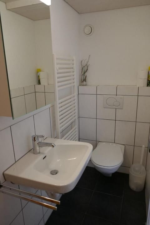 Zwingli's Ferienwohnung