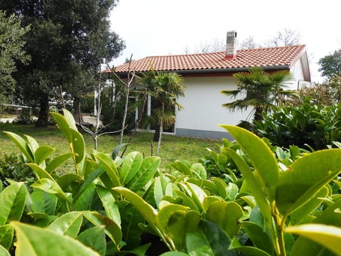 Gemütliches Ferienhaus in Pinezići mit großer Te