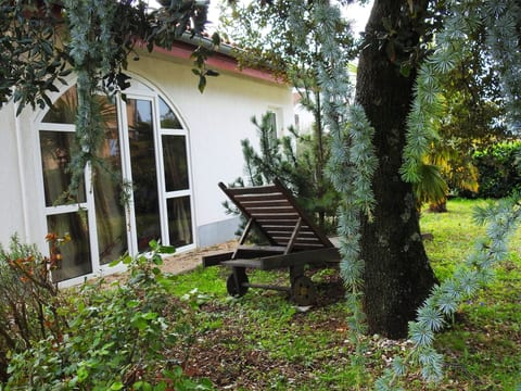 Gemütliches Ferienhaus in Pinezići mit großer Te