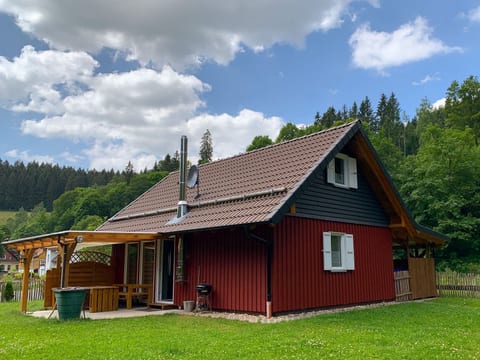 in Wildemann mit Terrasse