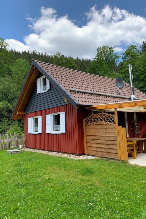 in Wildemann mit Terrasse