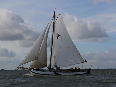 Hotelschiff Tjalkjacht Pelikaan