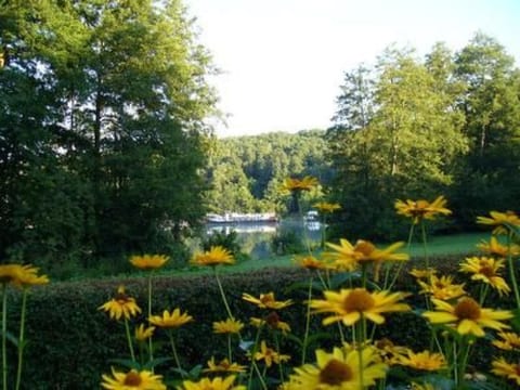 Appartement in Joachimsthal mit Kleiner Terrasse