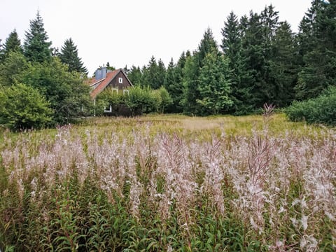 Appartement in Altenau mit Garten