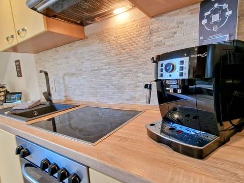 Apartment Nr.1