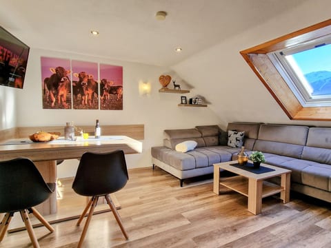Apartment Nr.1
